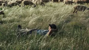 Backdrop to the movie "Shepherds" #684527