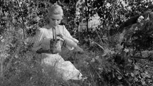 Backdrop to the movie "Wild Strawberries" #750357