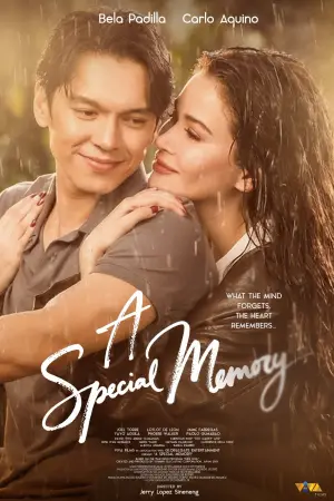 Poster to the movie "A Special Memory" #767126