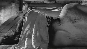 Backdrop to the movie "Woman in the Dunes" #749756