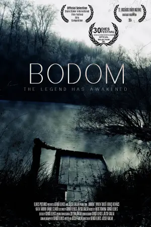Poster to the movie "Bodom" #661643