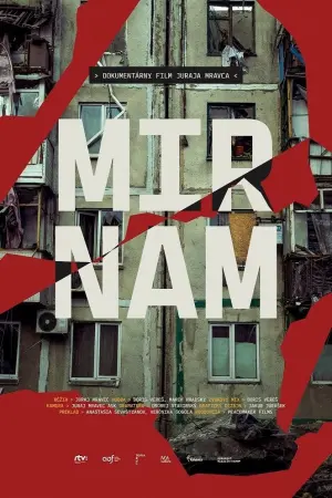 Poster to the movie "Mir Nam" #453997