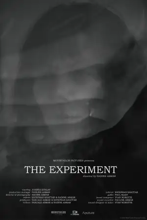 The Experiment