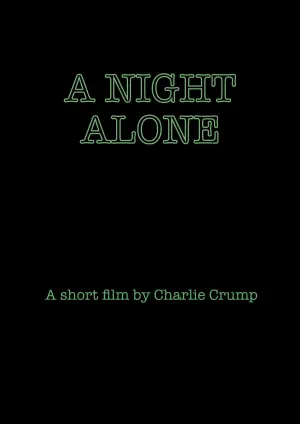 Movie poster "A Night Alone"