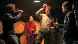 Backdrop to the movie "Back to Burgundy" #255077