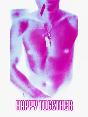 Poster to the movie "Happy Together" #867445