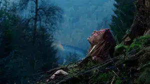 Backdrop to the movie "The Descent" #532035