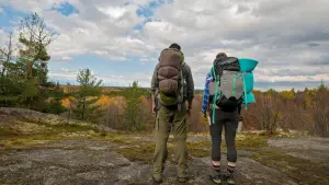 Backdrop to the movie "Backcountry" #332443