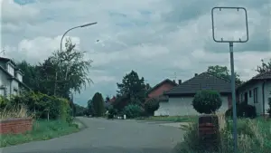 Backdrop to the movie "Leaning on the tree" #541439