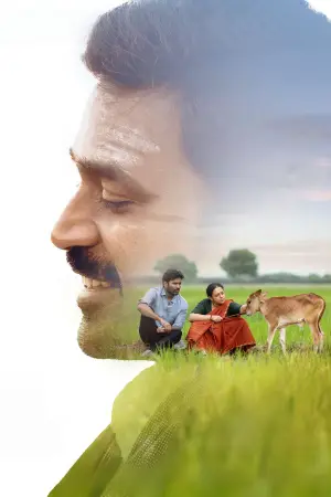 Poster to the movie "Idli Kadai" #635795