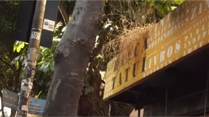 Backdrop to the movie "Banca Tatuí" #504910