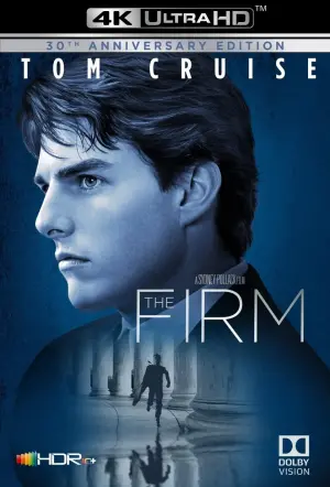 Poster to the movie "The Firm" #91329