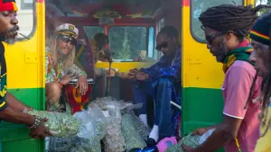 Backdrop to the movie "The Beach Bum" #420811