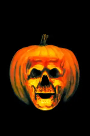 Poster to the movie "Halloween II" #280524