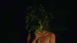 Backdrop to the movie "Smoke Sauna Sisterhood" #191233