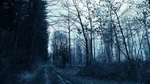 Backdrop to the movie "Void Madness" #777989