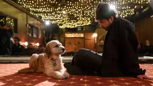 Backdrop to the movie "Ramy Youssef: In Love" #799597