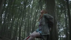 Backdrop to the movie "The Strangers" #804225