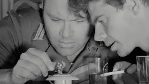 Backdrop to the movie "Signs of Life" #735815