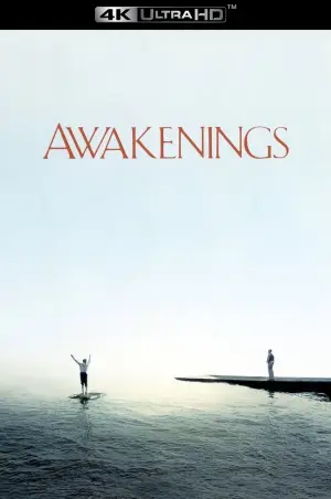 Poster to the movie "Awakenings" #754544