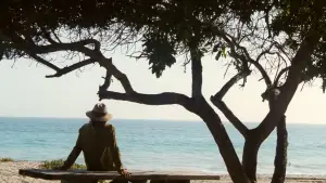 Backdrop to the movie "Inherent Vice" #704163