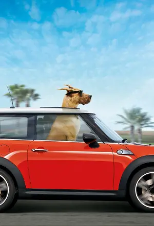 Poster to the movie "Marmaduke" #386729