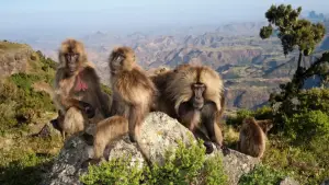 Backdrop to the movie "Le royaume des nuages" #800282