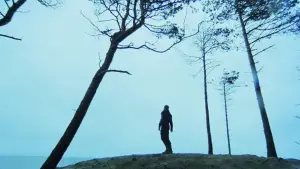 Backdrop to the movie "On the Silver Globe" #690677