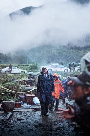 Poster to the movie "The Wailing" #223988