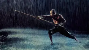Backdrop to the movie "The 36th Chamber of Shaolin" #213842