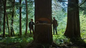 Backdrop to the movie "Train Dreams" #514901