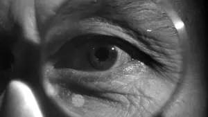 Backdrop to the movie "The Third Man" #181826