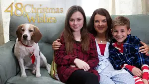 Backdrop to the movie "48 Christmas Wishes" #352858