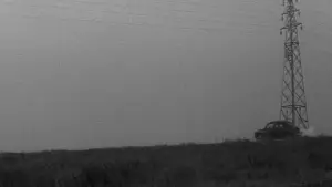 Backdrop to the movie "Branded to Kill" #763847