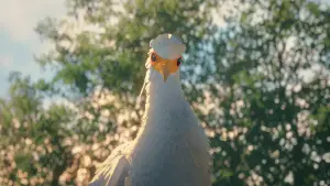 Backdrop to the movie "Flow" #586598