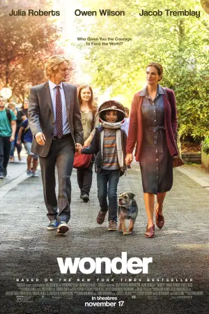 Poster to the movie "Wonder" #601044