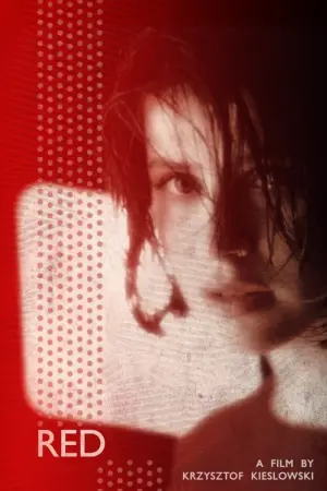 Poster to the movie "Three Colors: Red" #94016