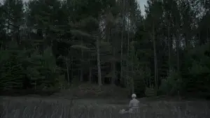 Backdrop to the movie "The Witch" #600292