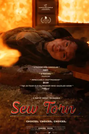 Poster to the movie "Sew Torn" #778745