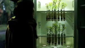 Backdrop to the movie "Trenque Lauquen" #378375