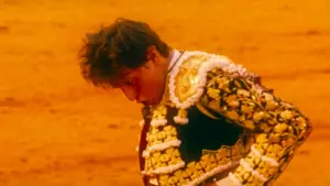 Backdrop to the movie "Afternoons of Solitude" #675256