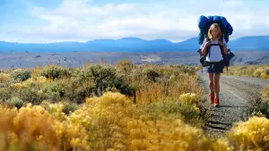 Backdrop to the movie "Wild" #245796