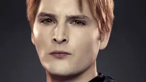 Backdrop to the movie "The Twilight Saga: Breaking Dawn - Part 2" #525538