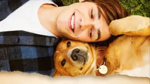 Backdrop to the movie "A Dog