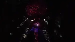 Backdrop to the movie "Fête des Lumières" #544373