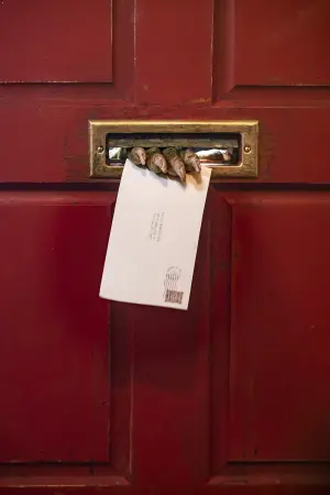 Poster to the movie "The Portable Door" #326869