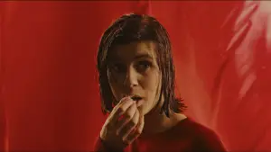 Backdrop to the movie "Three Colors: Red" #752137