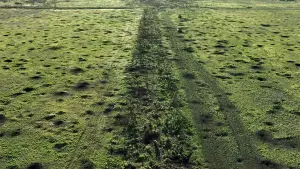 Backdrop to the movie "2000 Meters to Andriivka" #539424