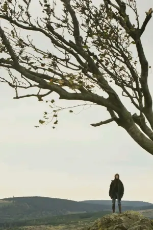 Poster to the movie "Nymphomaniac: Vol. II" #504187