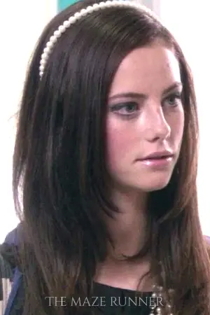 Poster to the movie "The Maze Runner" #551529